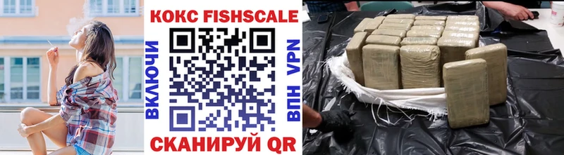 Cocaine FishScale  наркота  hydra как войти  Ликино-Дулёво 