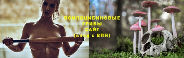 МДПВ Алзамай