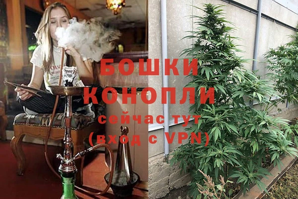 прущая мука Покачи