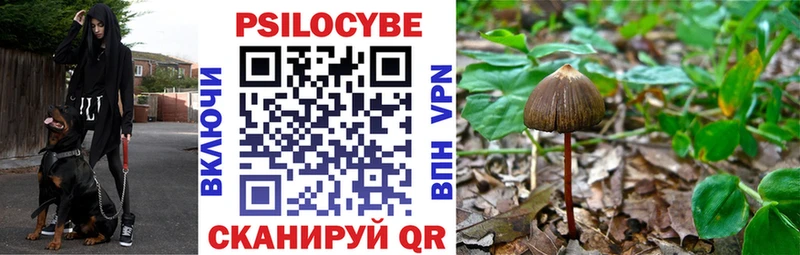 Галлюциногенные грибы Psilocybine cubensis  Ликино-Дулёво 